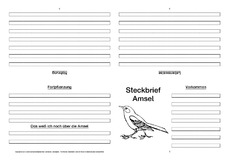 Amsel-Faltbuch-vierseitig-2.pdf